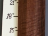 neck-8-clarocurly