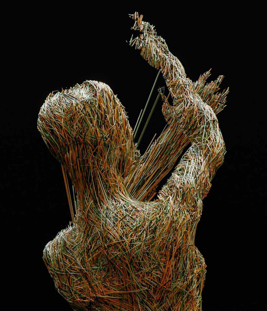 Human 3D pose